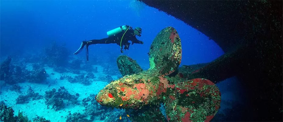 Mısır'da 1991 yılında batan Salem Express feribotunu su altında görüntülendi