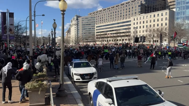 Washington’da Filistin’e destek gösterisi