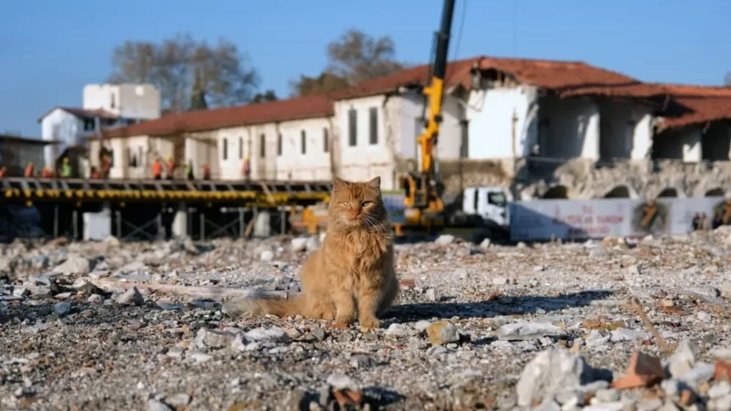 Depremin birinci yılında Hatay: “Toplam ölü sayısının yarısı Hatay’dan”