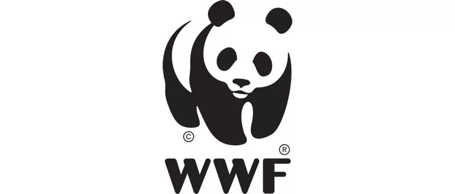 WWF-Türkiye'den iklim dostu kentler için yerel yönetim adaylarına çağrı