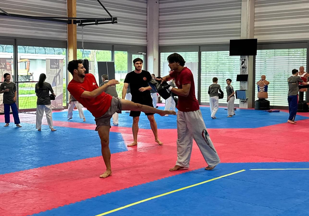 Türkiye Taekwando Erkek Olimpik Milli Takım Nürnberg’de