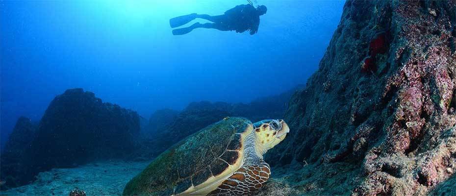 Dalyan Kanalı havadan ve su altından görüntülendi