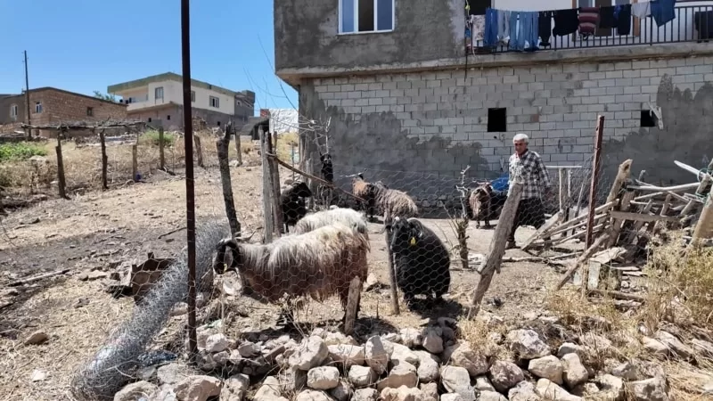 Diyarbakır’daki yangınlardan sonra yeniden göç endişesi