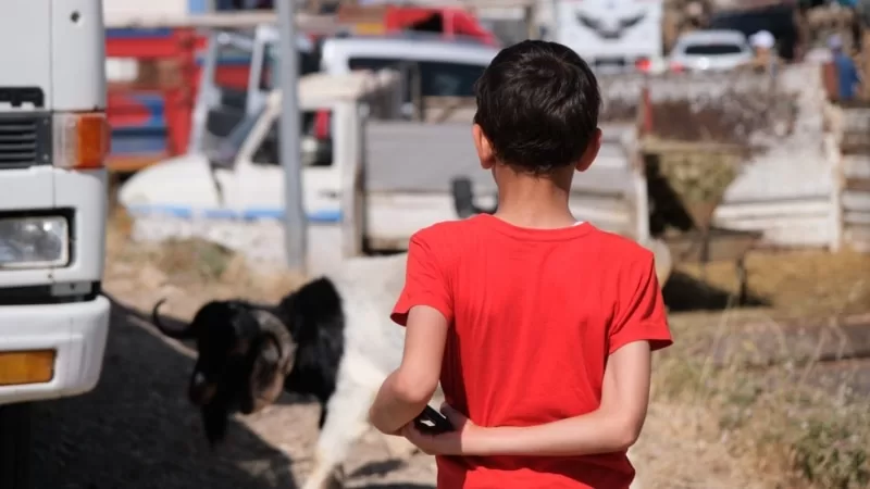 Bayramda kurban kesimini izlemek çocuk psikolojisini nasıl etkiler?