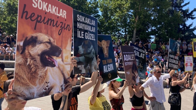 Hayvan hakları savunucuları Anıtpark’ta aralıksız eyleme başladı
