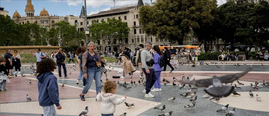 Mallorca: Turizm karşıtları bindikleri dalı mı kesiyor?