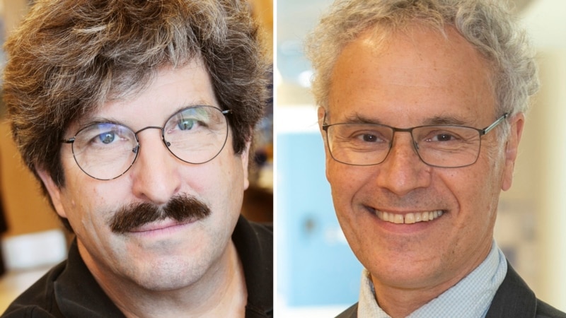 2024 Nobel Tıp Ödülü, mikroRNA'yı keşfeden ABD’li biyologlar Victor Ambros ve Gary Ruvkun’a verildi