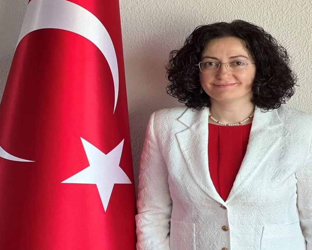Nürnberg'de Cumhuriyet Bayramı üç ayrı yerde kutlanacak