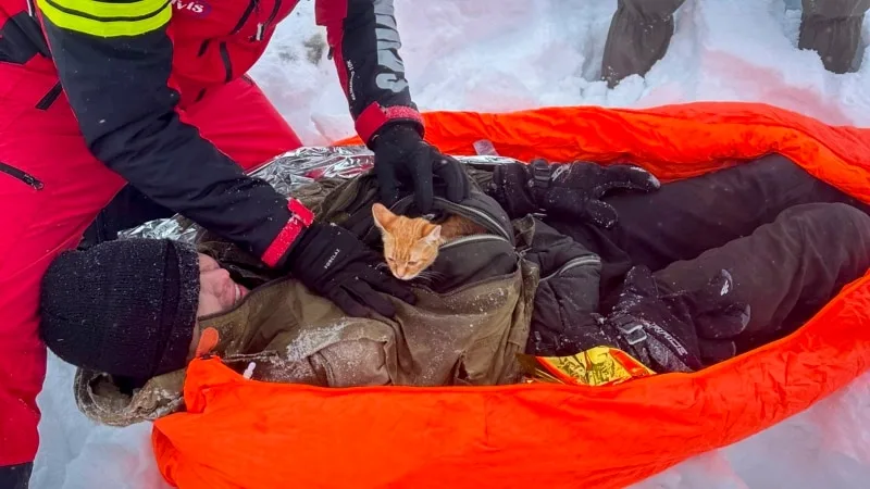 Ukrayna’daki savaştan kaçan genç kedisi “Şeftali” sayesinde hayatta kaldı