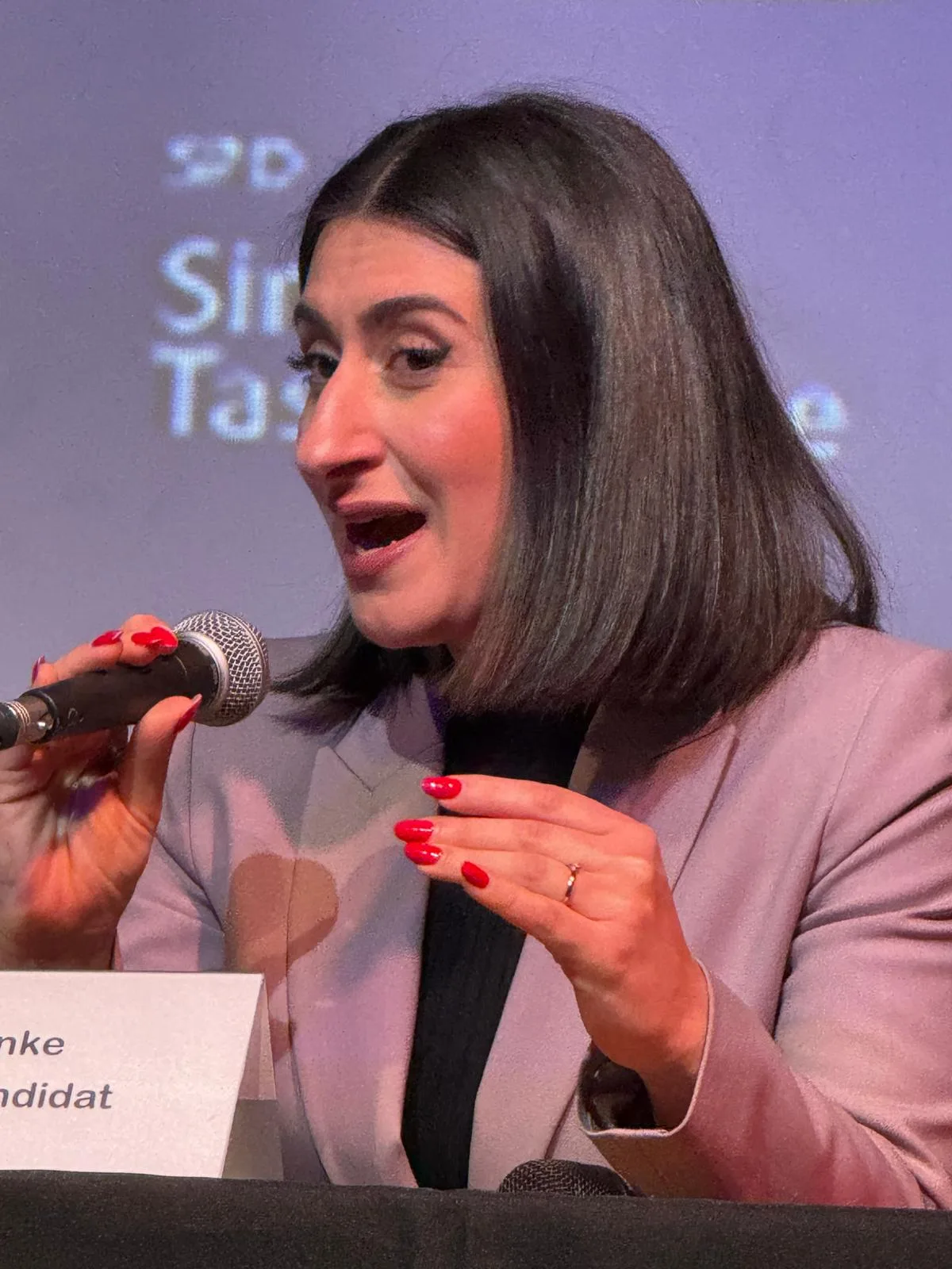 Almanya Federal Seçimleri öncesinde TDU'da Düzenlenen Politik Panel Yoğun İlgi Gördü
