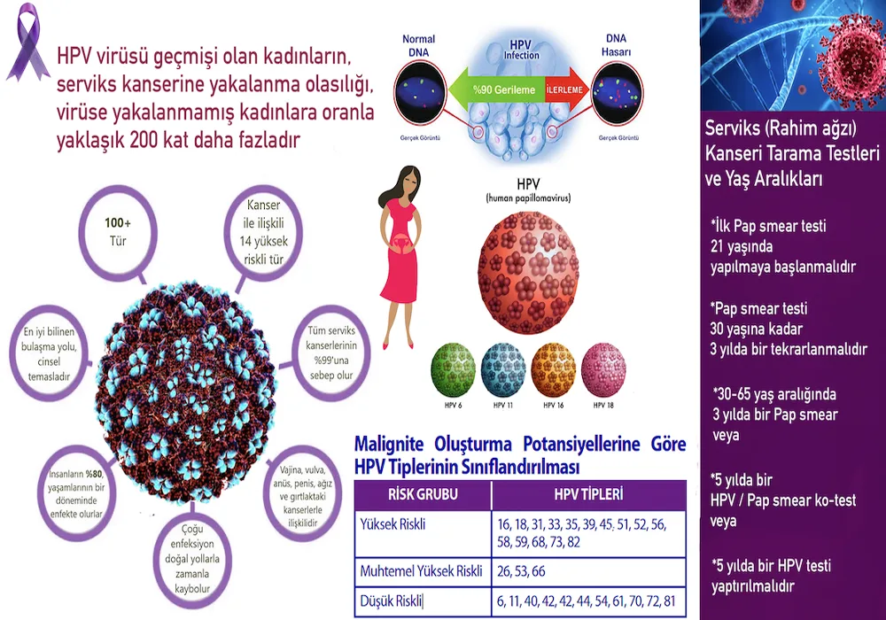 HPV, Korono Virüs kadar tehlikeli