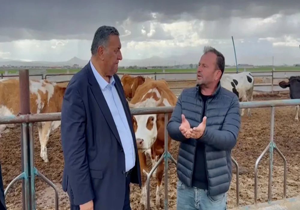 CHP'li Gürer'den Et ve Süt Kurumu'na Tepki