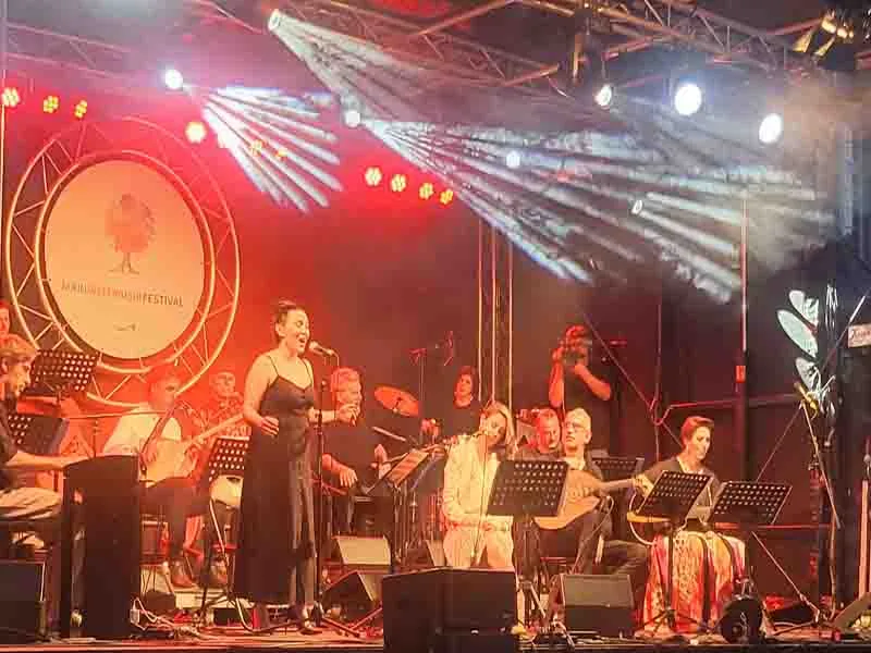 Müzik insanlığın ortak dili