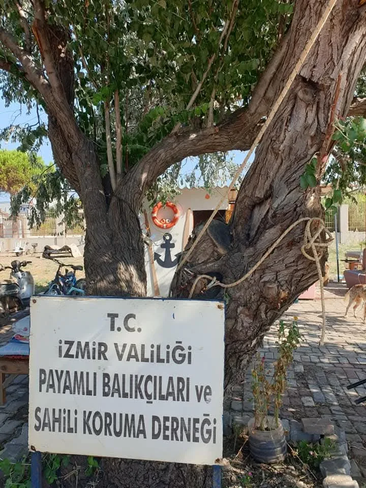 Payamlı’da Doğa İçin Birlik: Balıkçılar, Gönüllüler ve Umut Dolu Bir Hikâye