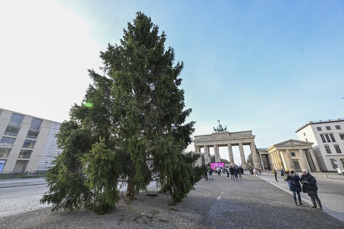 Berlin`de tarihi Brandenburg Kapısı'nın önüne Noel ağacı konuldu
