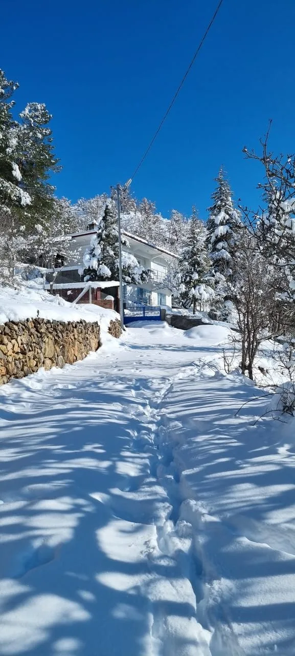 Almanya’da Elli Fırtınası Gitti, Gunda Buzlanması Kapıda