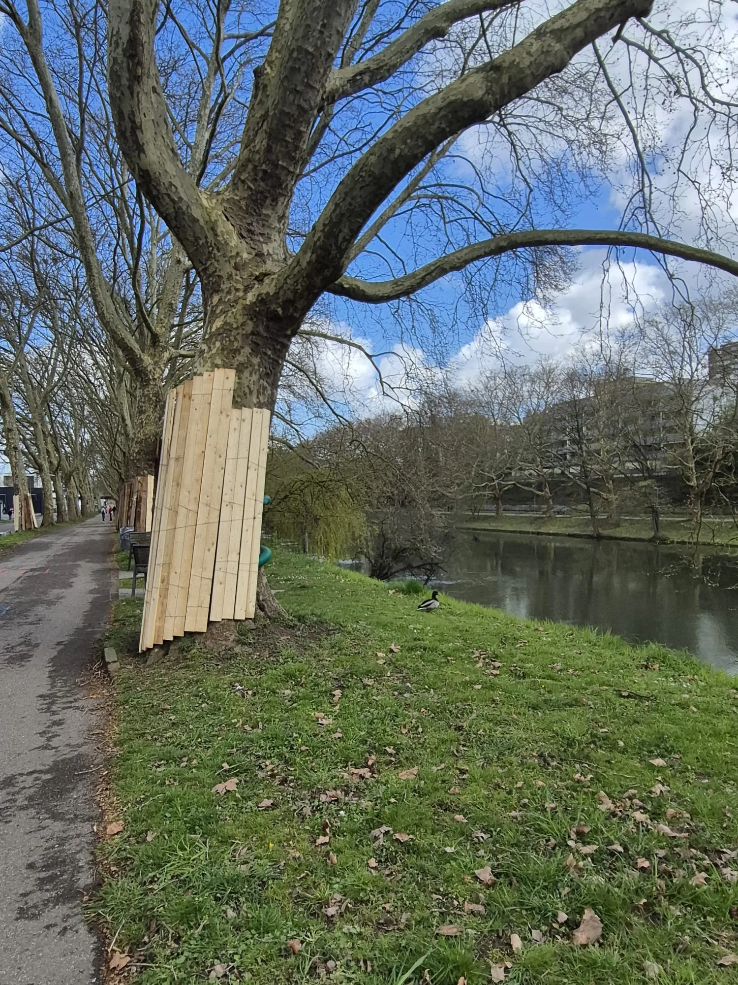 Neckar Boyunca Kanal Projesi Gündemde
