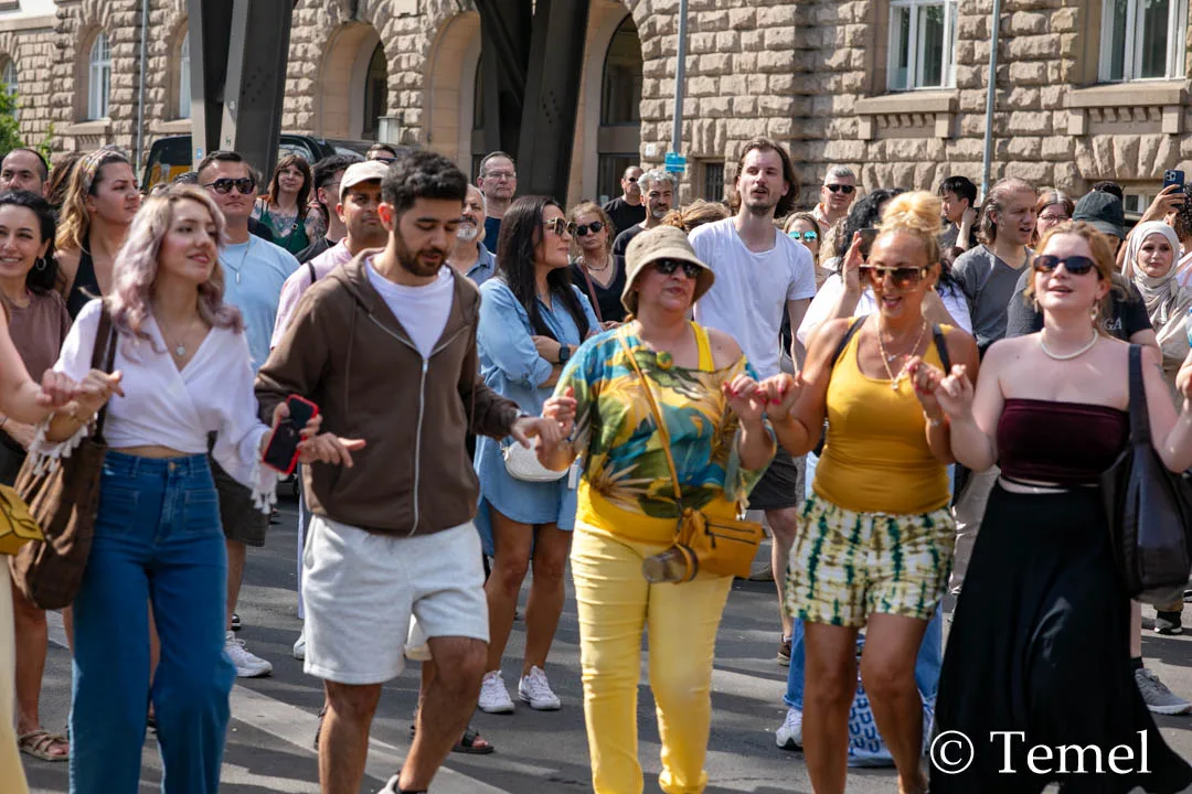Berlin’de Kültürler Karnavalı’na Yoğun İlgi