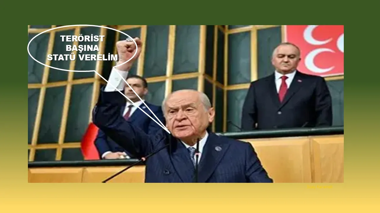 NEYİN STATÜSÜ?